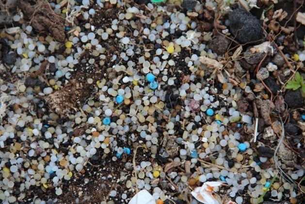 Nurdles : les graines toxiques de l’océan