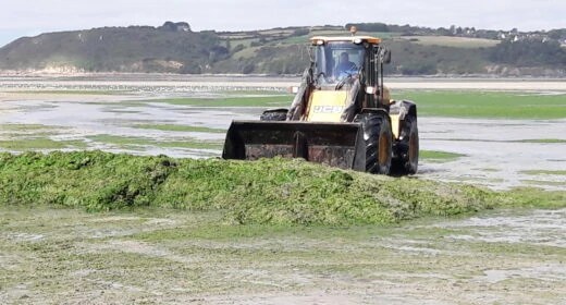 eutrophisation ou Marées vertes : ramasser la honte à la pelleteuse